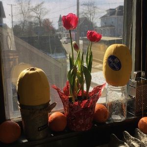 Meet your Posher, Noelle